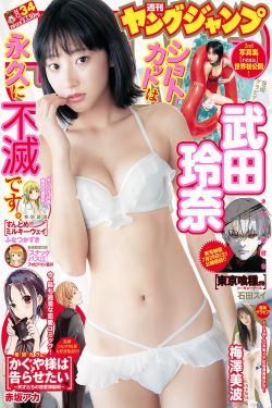 无法抗拒的谎言