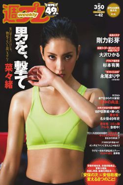 我凭本事单身电视剧免费观看